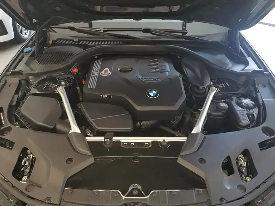 BMW 5 Series 2021 из CN, фото 10