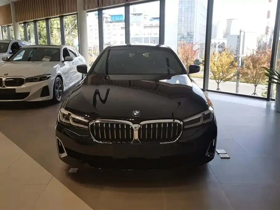 BMW 5 Series 2021 из CN, фото 2