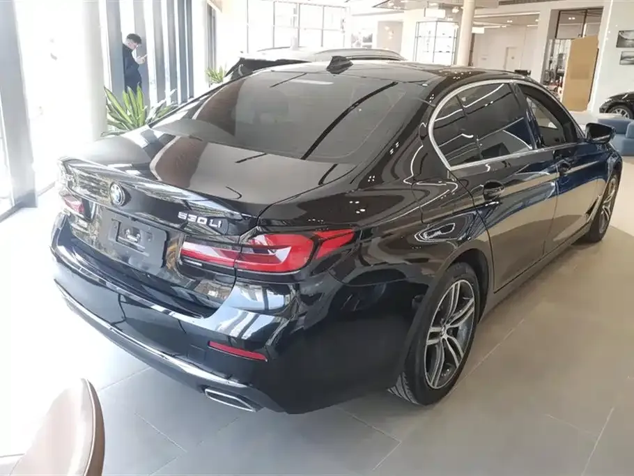 BMW 5 Series 2021 из CN, фото 3