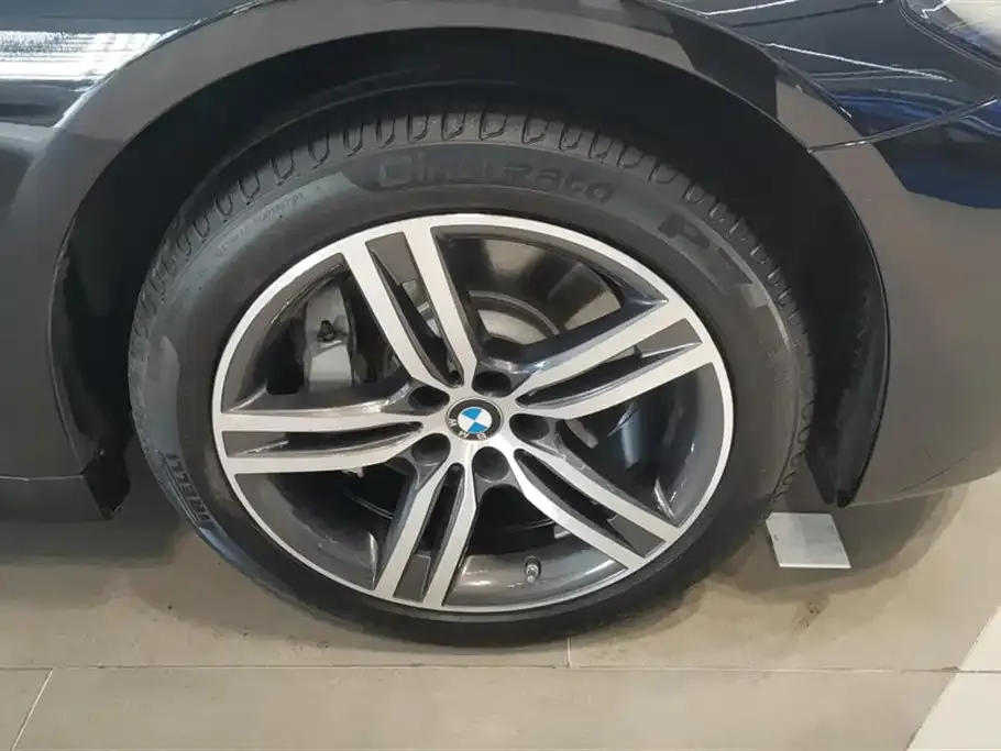 BMW 5 Series 2021 из CN, фото 6