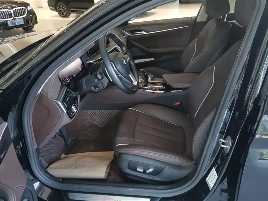 BMW 5 Series 2021 из CN, фото 9