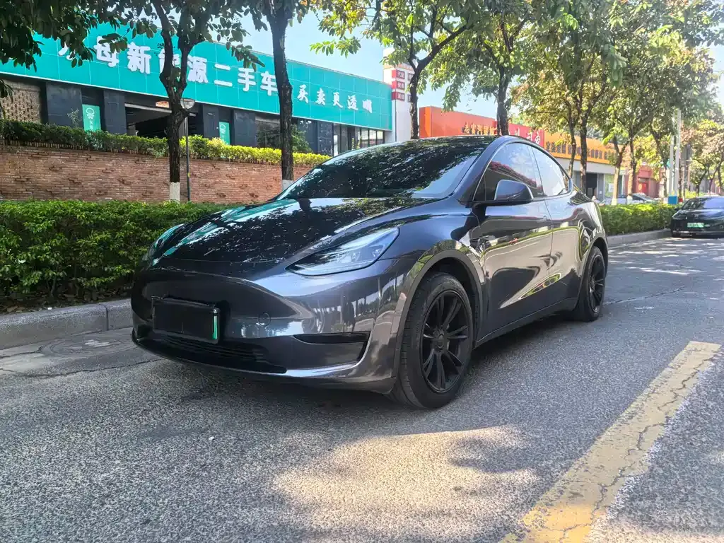 Tesla Model Y 2024 из CN, фото 1