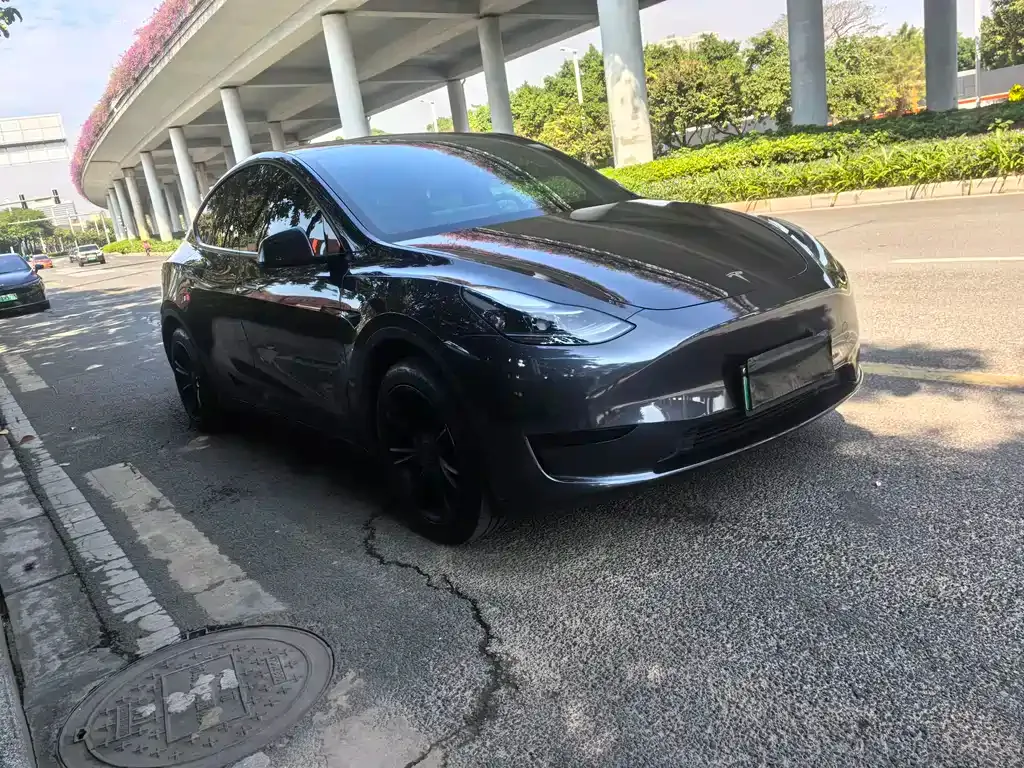 Tesla Model Y 2024 из CN, фото 2