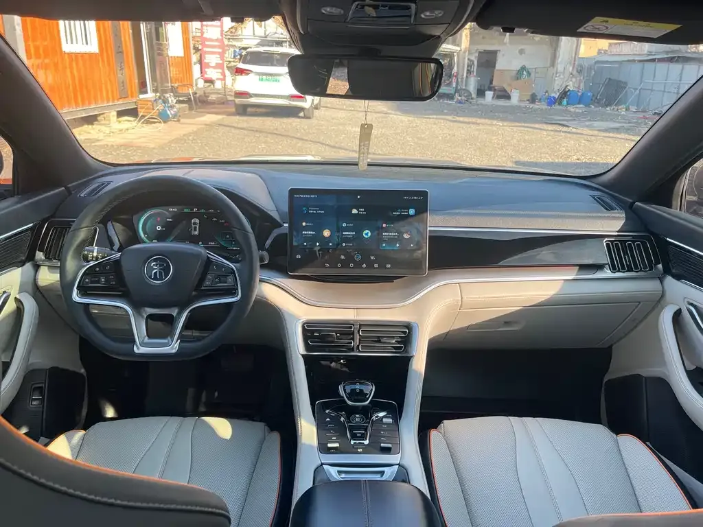 BYD PLUS New Energy 2022 из CN, фото 8