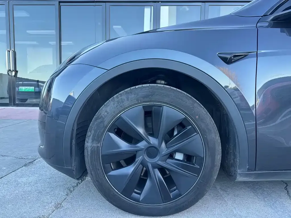 Tesla Model Y 2024 из CN, фото 4