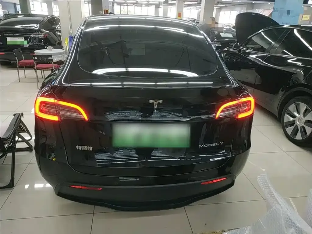 Tesla Model Y — фото 6