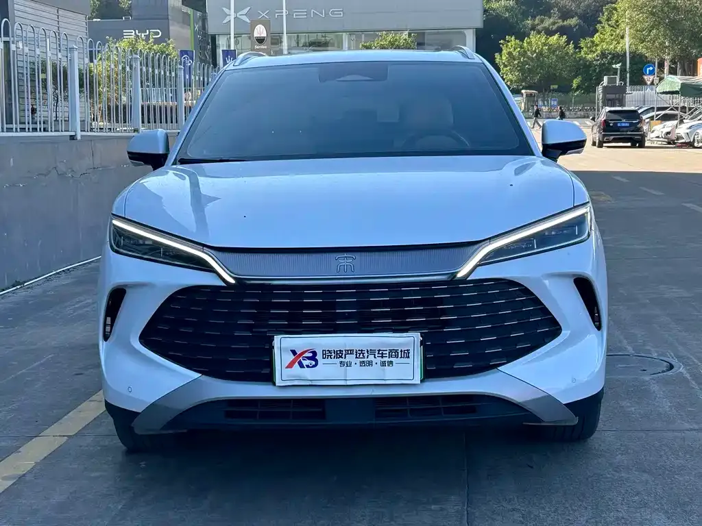 BYD L DM-i 2024 из CN, фото 2