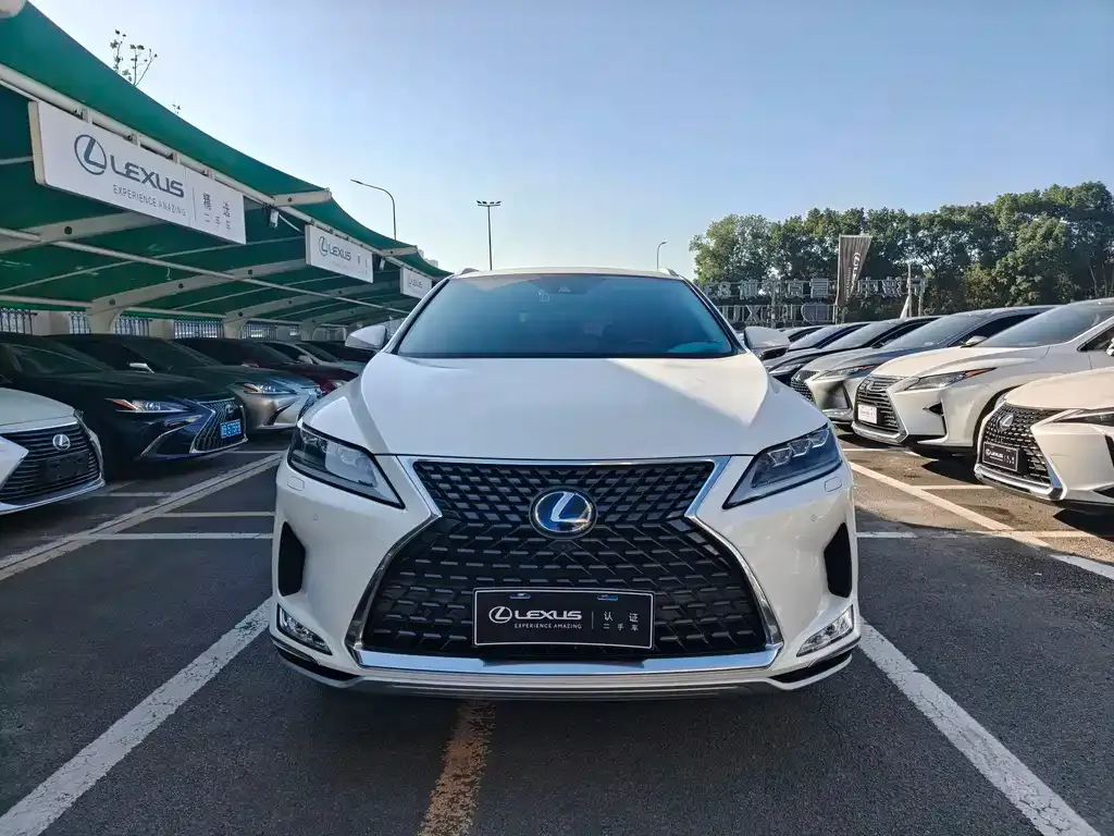 Lexus RX 2021 из CN, фото 3