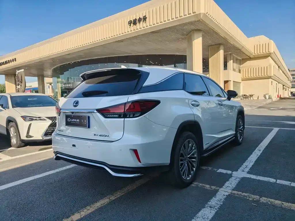 Lexus RX 2021 из CN, фото 4