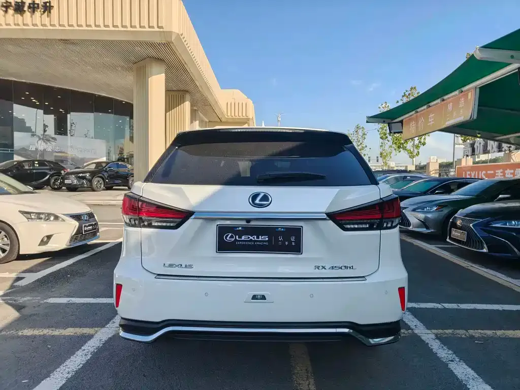 Lexus RX 2021 из CN, фото 9