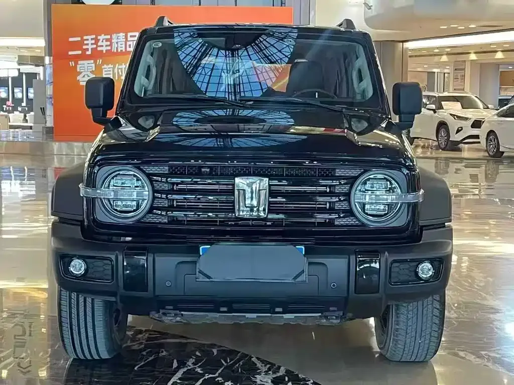 Tank 300 2023 из CN, фото 2