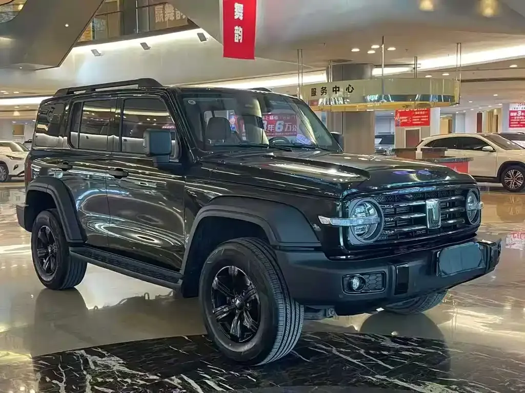 Tank 300 2023 из CN, фото 3