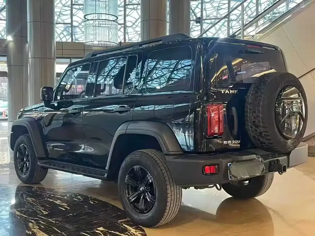 Tank 300 2023 из CN, фото 4