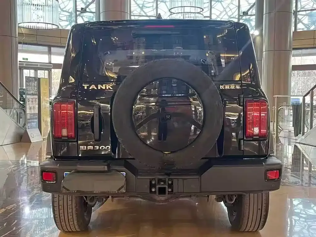 Tank 300 2023 из CN, фото 5