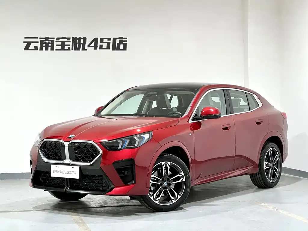 BMW X2 (Import) 2025 из CN, фото 1