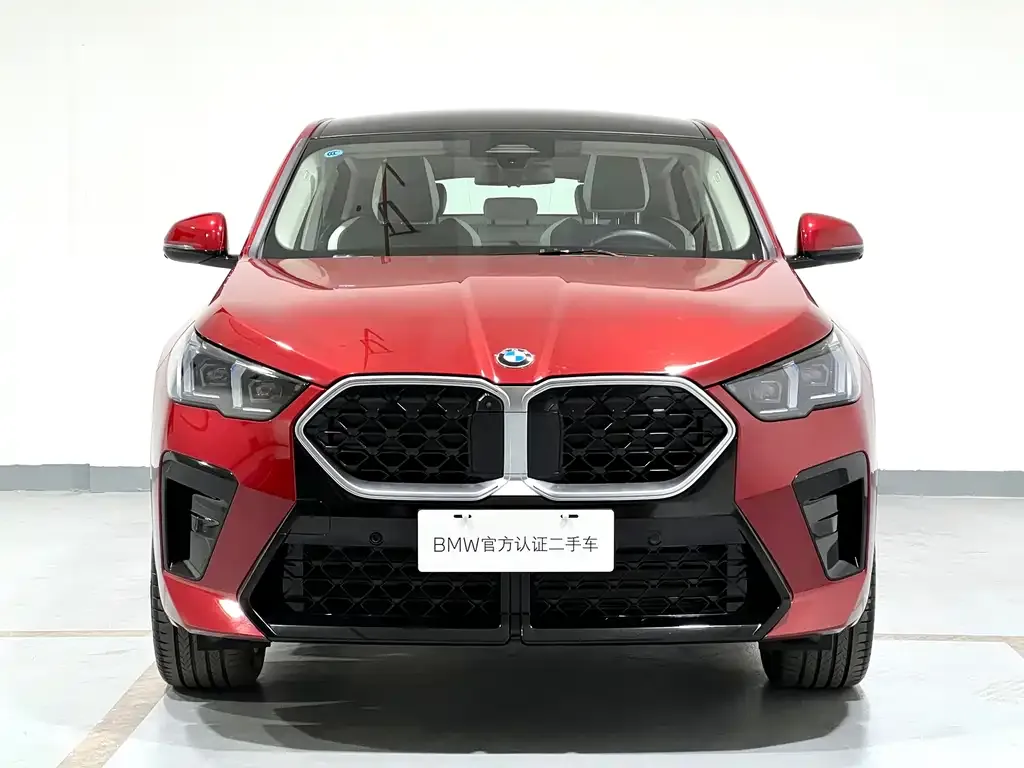 BMW X2 (Import) 2025 из CN, фото 4