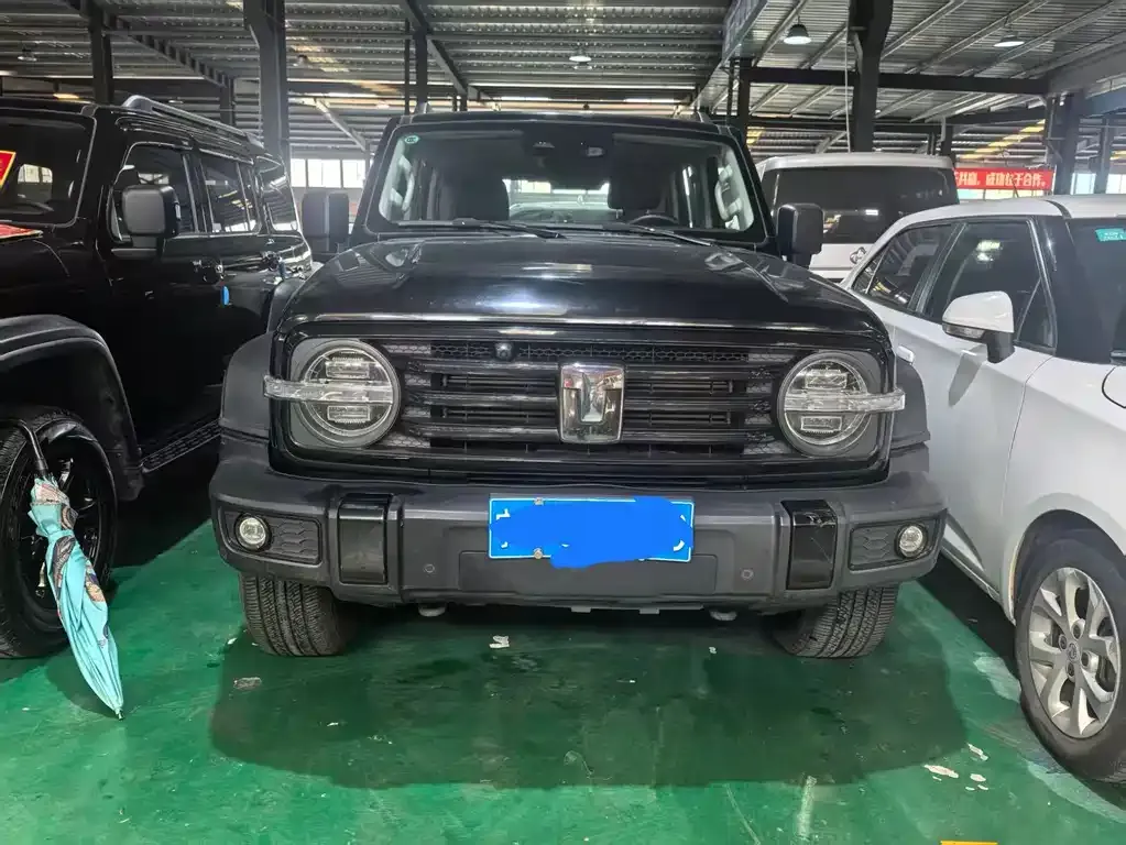 Tank 300 2023 из CN, фото 2