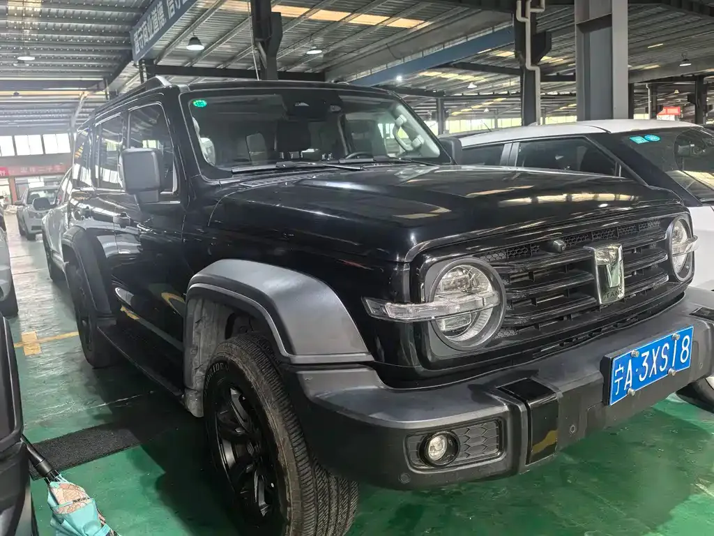 Tank 300 2023 из CN, фото 3