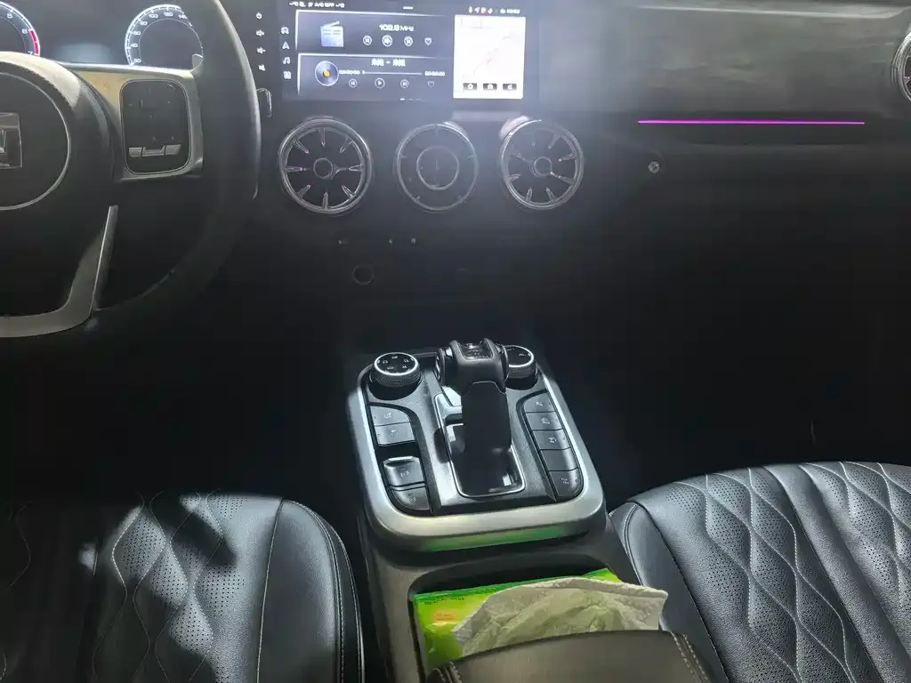 Tank 300 2023 из CN, фото 8