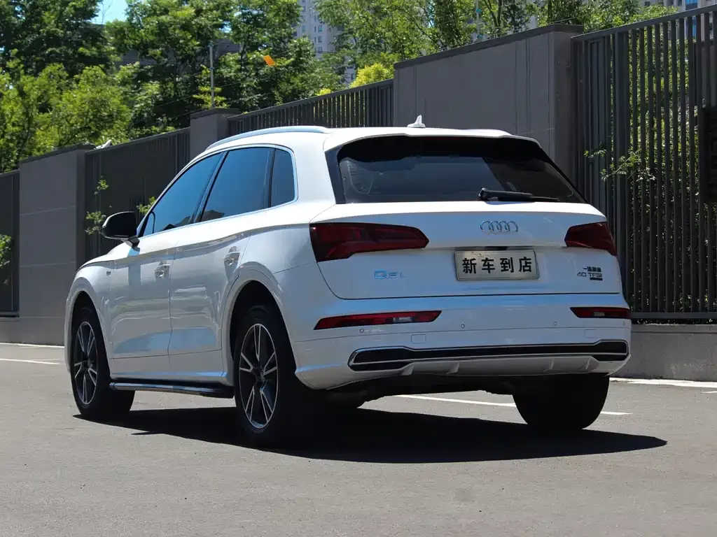 Audi Q5L 2021 из CN, фото 7
