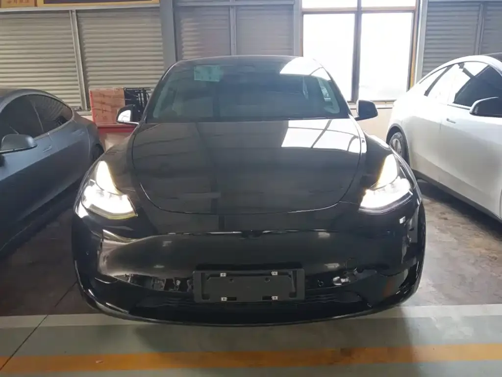 Tesla Model Y — фото 3