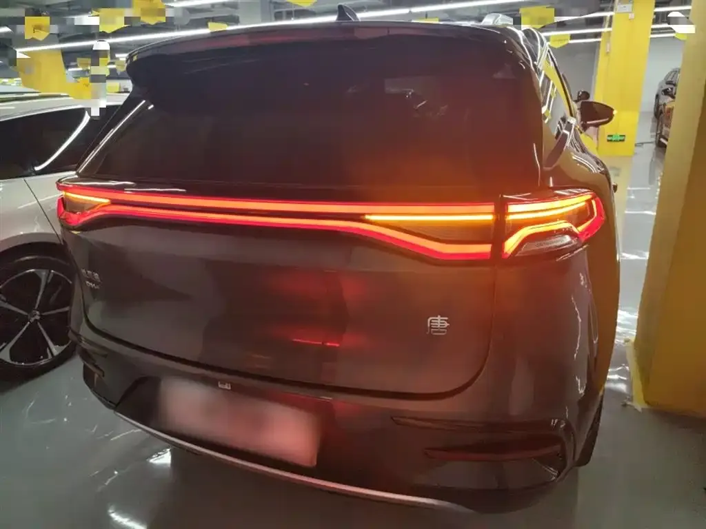 BYD Tang New Energy 2022 из CN, фото 6