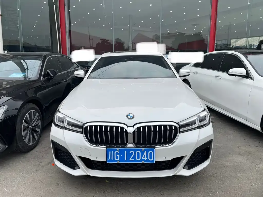 BMW 5 Series 2024 из CN, фото 2