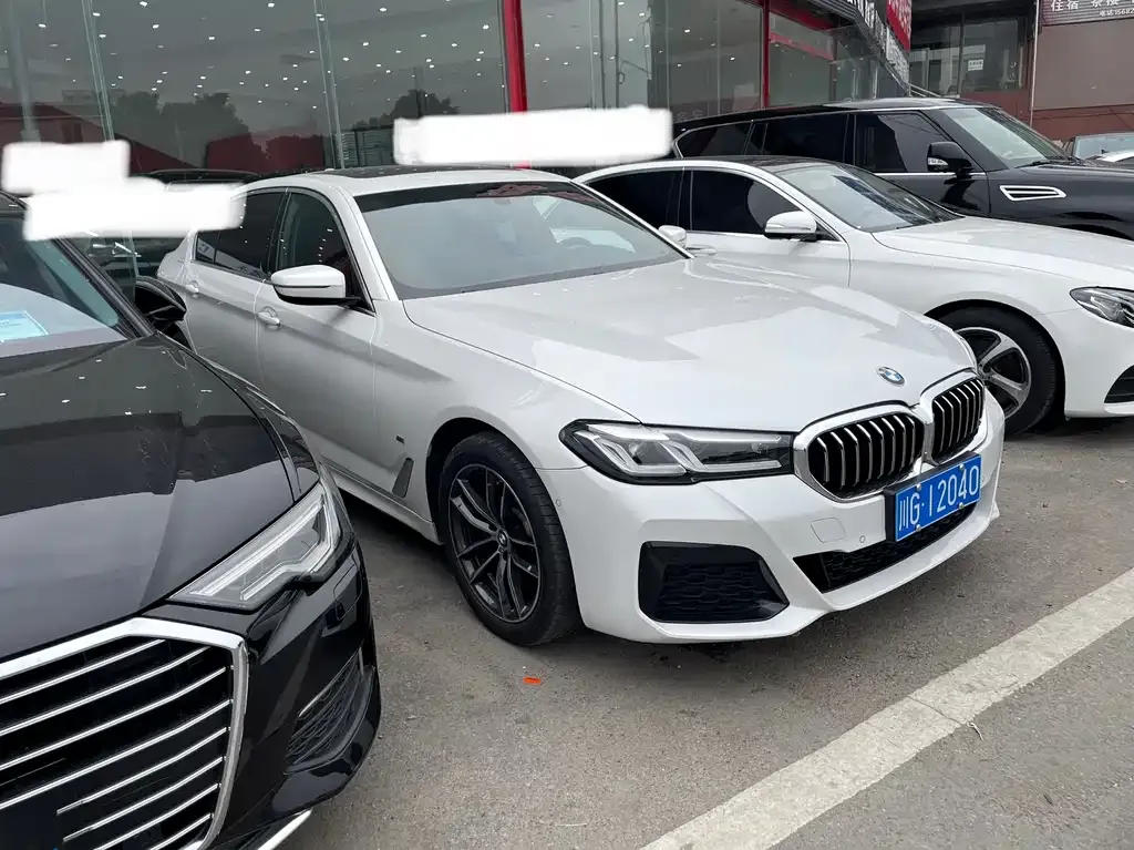 BMW 5 Series 2024 из CN, фото 3