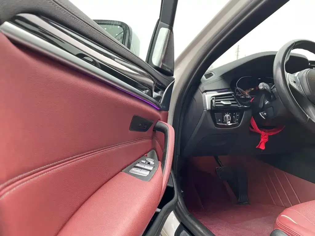 BMW 5 Series 2024 из CN, фото 5