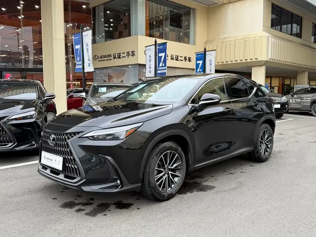 Lexus NX 2023 из CN, фото 1