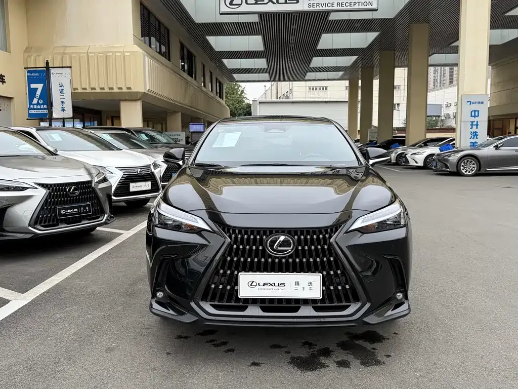 Lexus NX 2023 из CN, фото 2