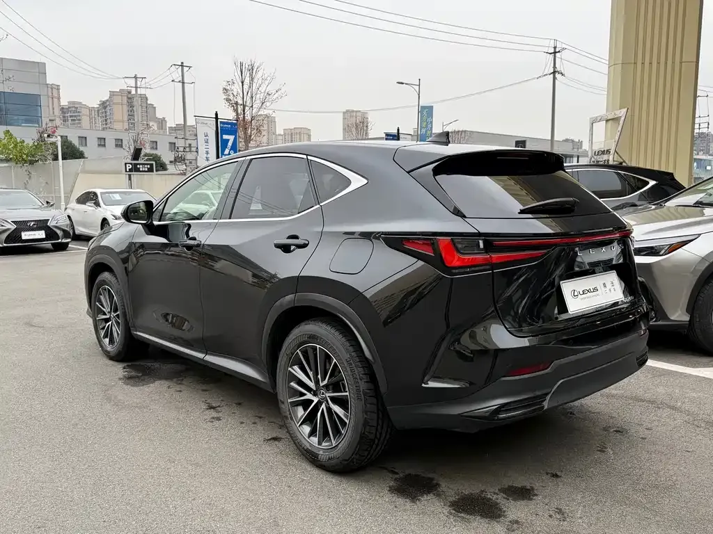 Lexus NX 2023 из CN, фото 8