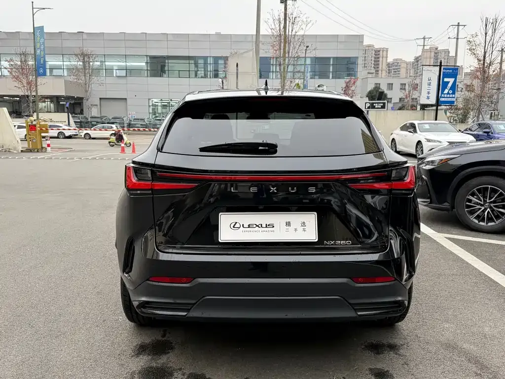 Lexus NX 2023 из CN, фото 9
