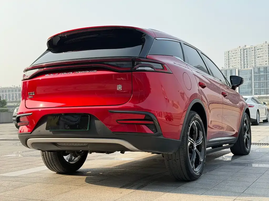 BYD Tang New Energy 2022 из CN, фото 5