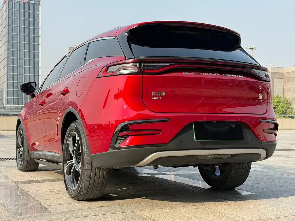 BYD Tang New Energy 2022 из CN, фото 7