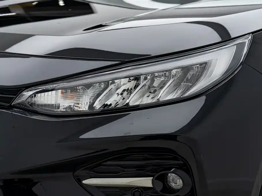 [object Object] Wildlander 2021 из CN, фото 10