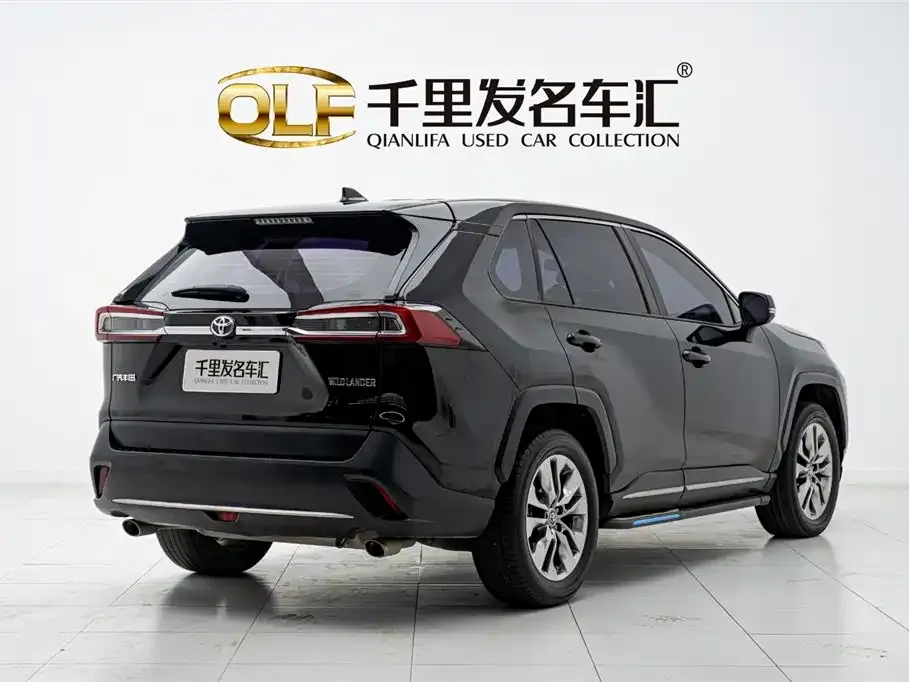 [object Object] Wildlander 2021 из CN, фото 4