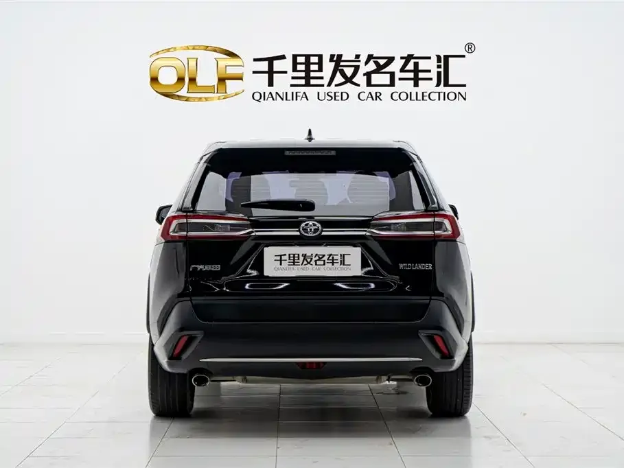 [object Object] Wildlander 2021 из CN, фото 5