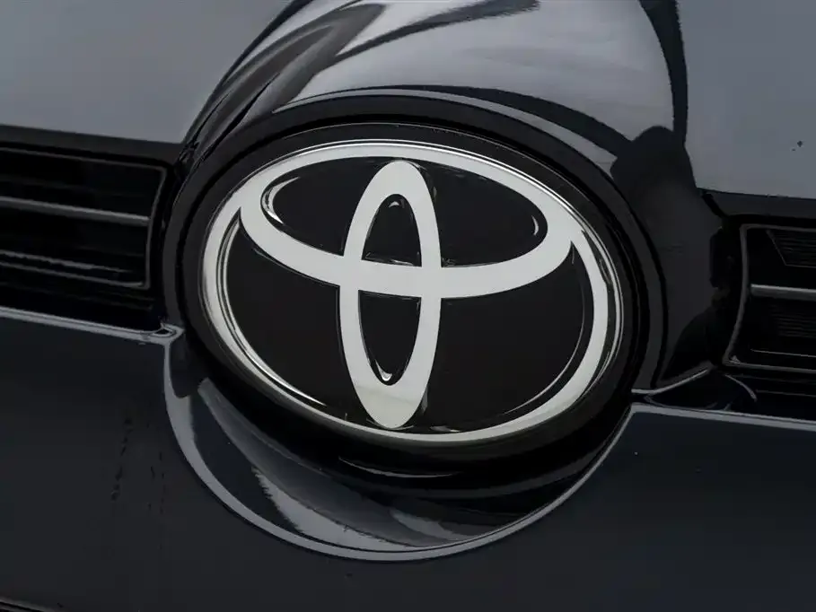 [object Object] Wildlander 2021 из CN, фото 9