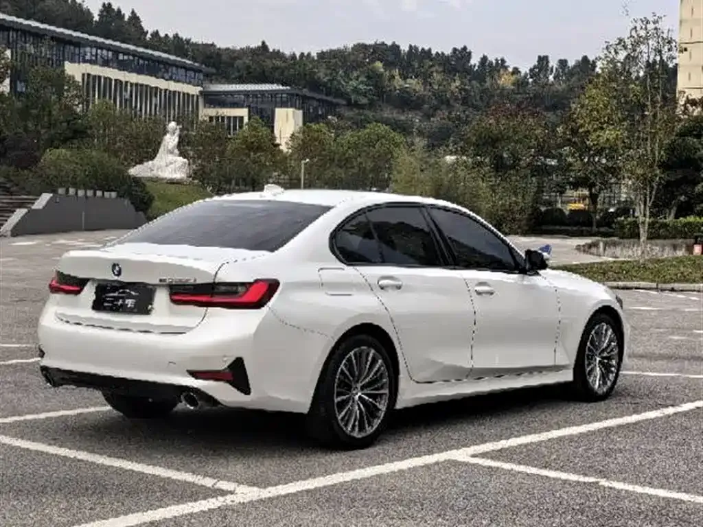 BMW 3 Series 2022 из CN, фото 7