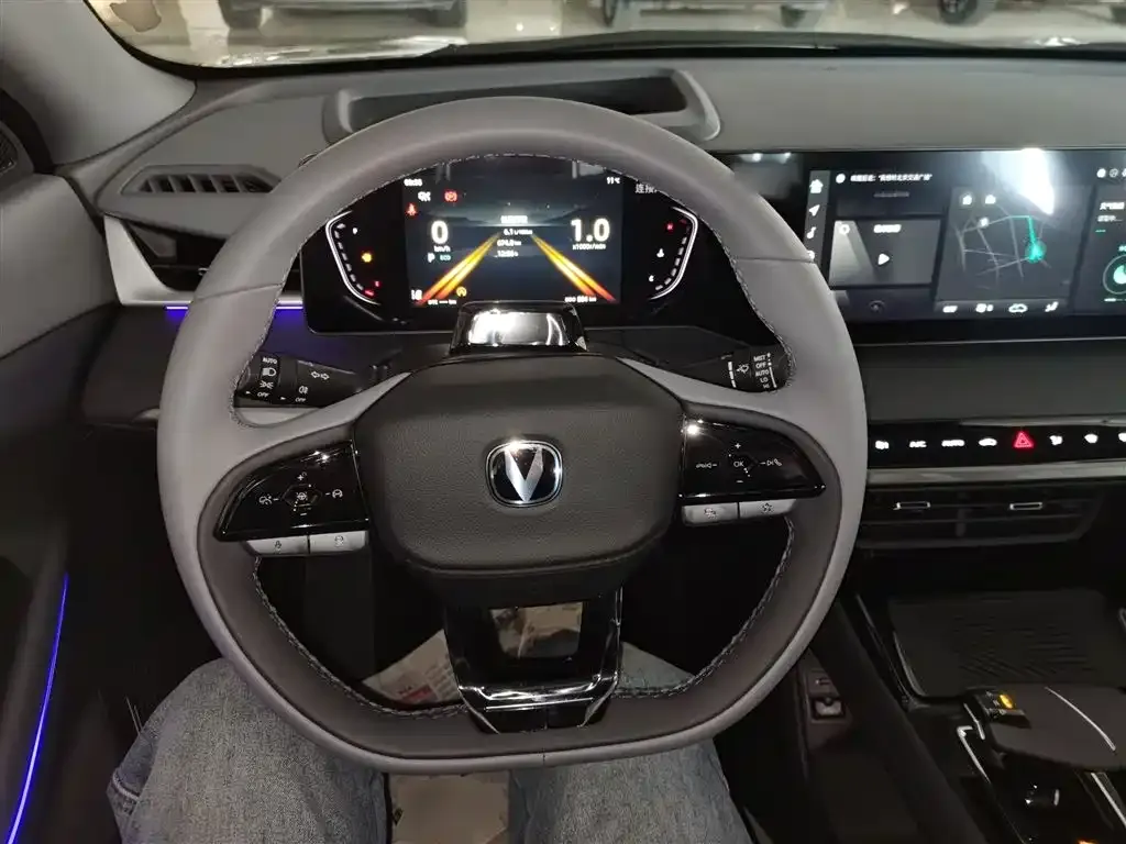 Changan Ruicheng PLUS 2025 из CN, фото 10