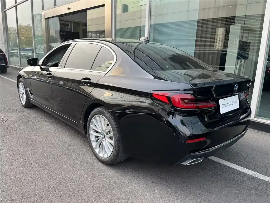 BMW 5 Series 2021 из CN, фото 3
