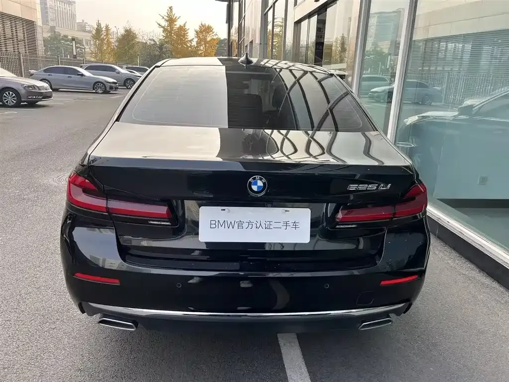 BMW 5 Series 2021 из CN, фото 4