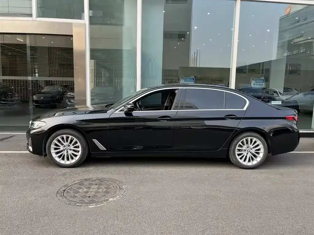 BMW 5 Series 2021 из CN, фото 8