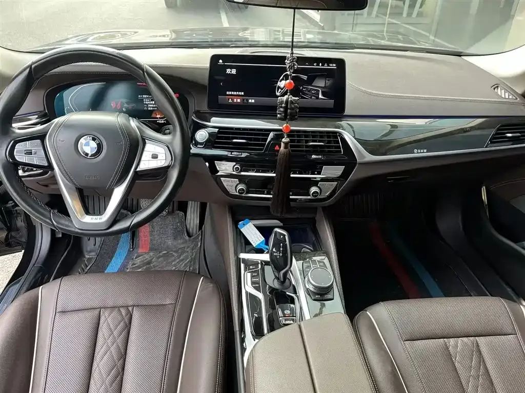 BMW 5 Series 2021 из CN, фото 9