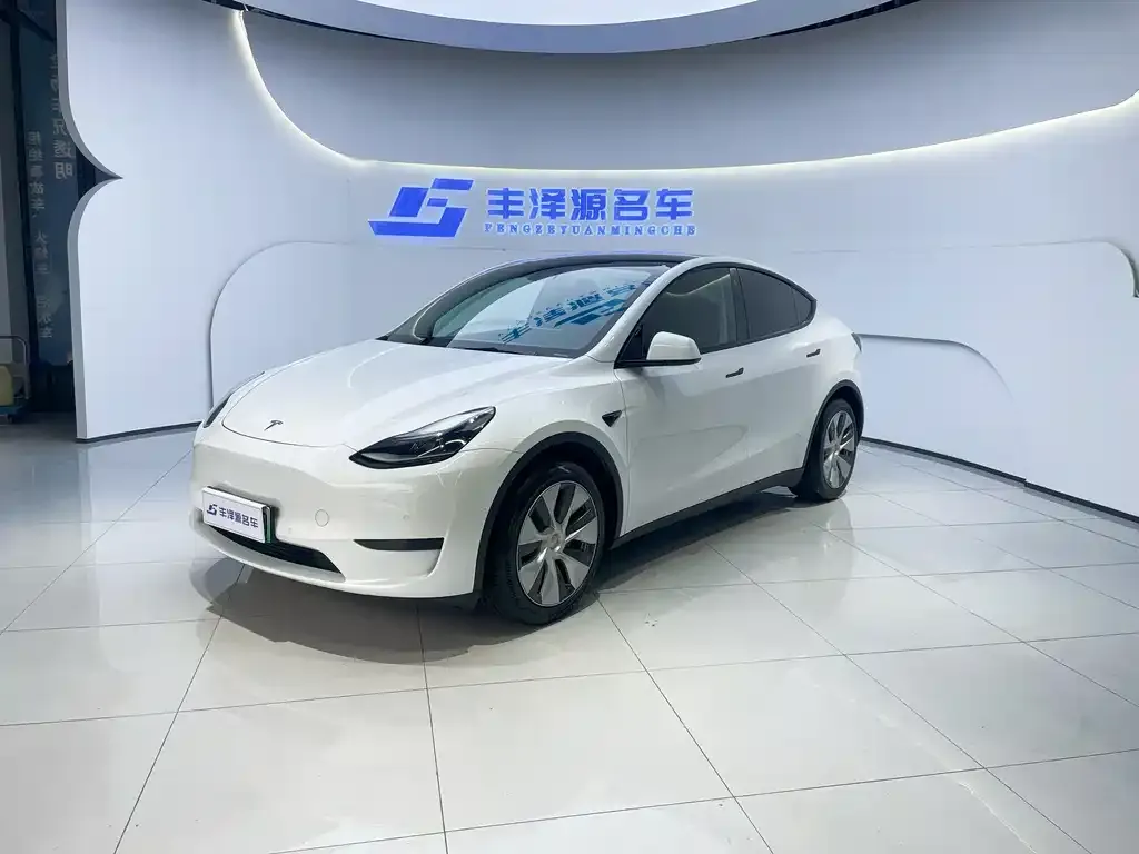 Tesla Model Y 2022 из CN, фото 1