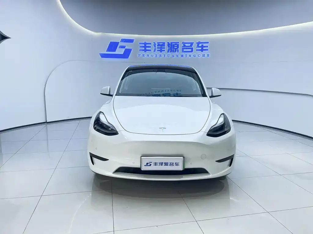 Tesla Model Y 2022 из CN, фото 2