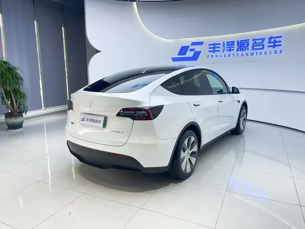 Tesla Model Y 2022 из CN, фото 3