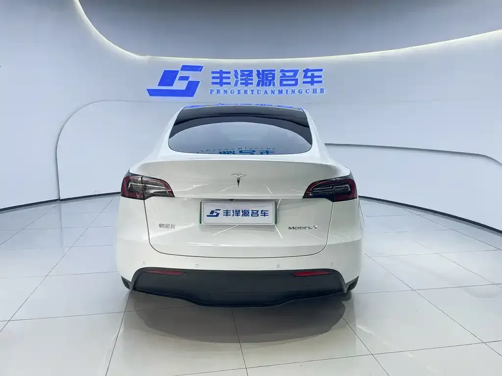 Tesla Model Y 2022 из CN, фото 4