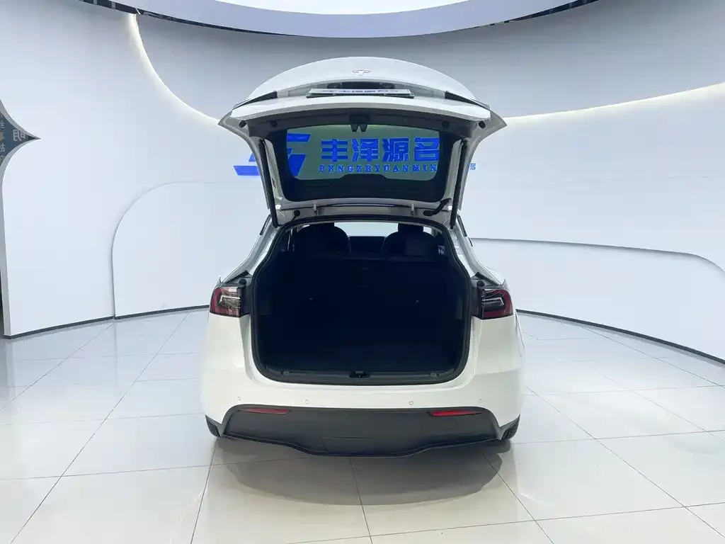 Tesla Model Y 2022 из CN, фото 5